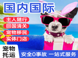 舟山普陀山航空托运国际宠物托运 【国